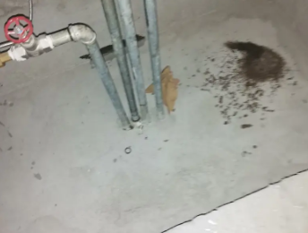 芝罘卫生间测漏水价格明细