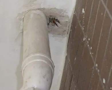 芝罘漏水检测哪家好